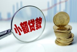 东莞信用哪里可以小额贷款-东莞信用哪里有民间借贷-东莞信用民间短期私借借款