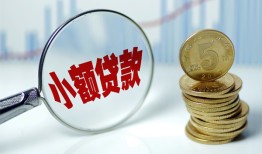 东莞信用哪里可以小额贷款-东莞信用哪里有民间借贷-东莞信用民间短期私借借款
