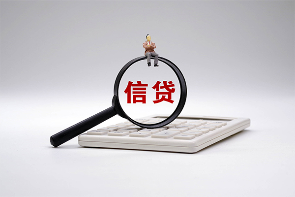 东莞信用身份证借私借