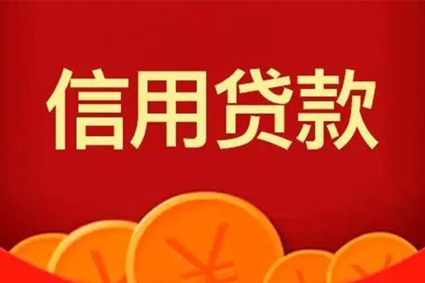 东莞信用身份证贷款电话